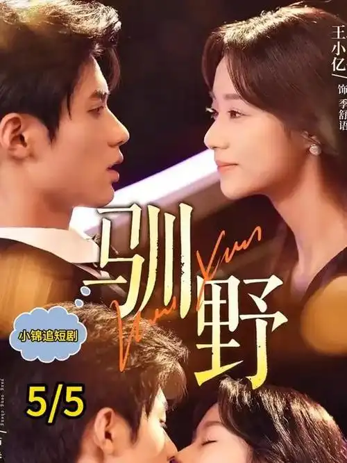 海边的旧邮局 治愈系电视剧免费观看